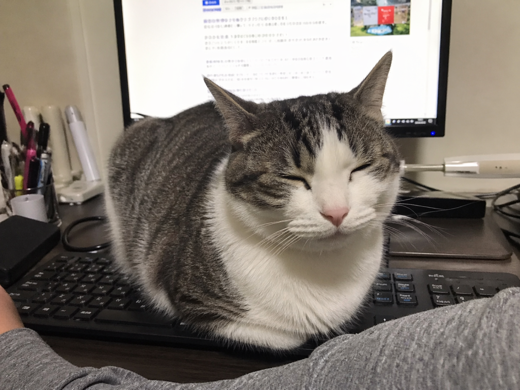 Neko-Hara