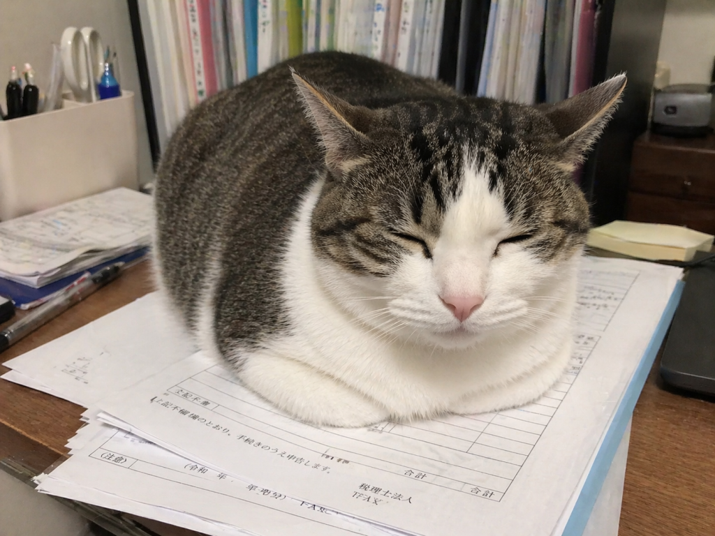 Neko-Hara2