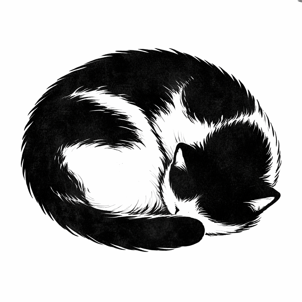 ammonite cat curled up sleeping